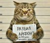 MARODER